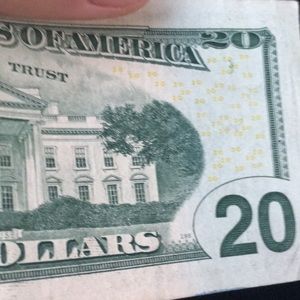 Meet your Posher, Leonardo